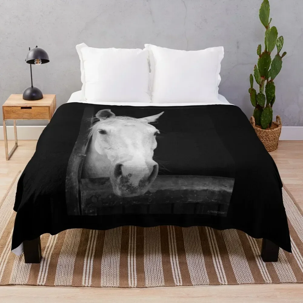 

Easily Distracted by Horses - Daisy Gray Throw Blanket Vintage Bed Luxury Brand Blankets For Bed Blankets
