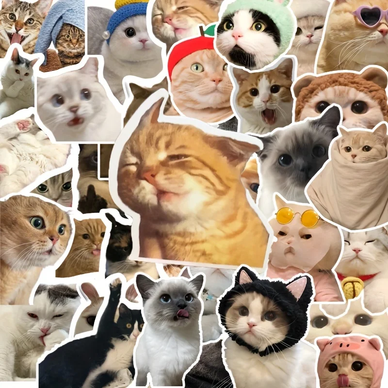 ラップトップ、デスク、コンピューター、荷物収納ボックスウォーターカップを飾るための60枚のかわいいリアルな猫の落書きステッカー