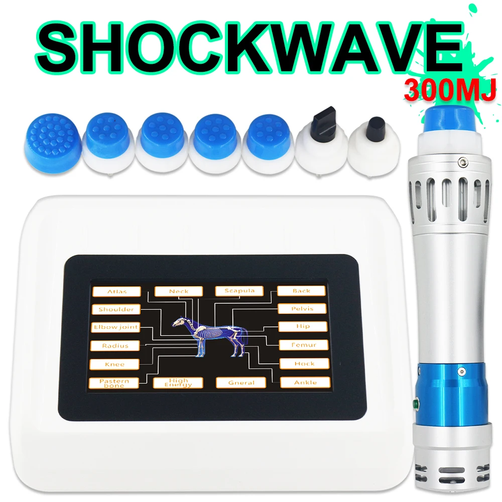 

Animals Physiotherapy Shock Wave Machine Relief Femur Pain And Treat Muscle Strain Shockwave Massager For Race Horse Use 300MJ
