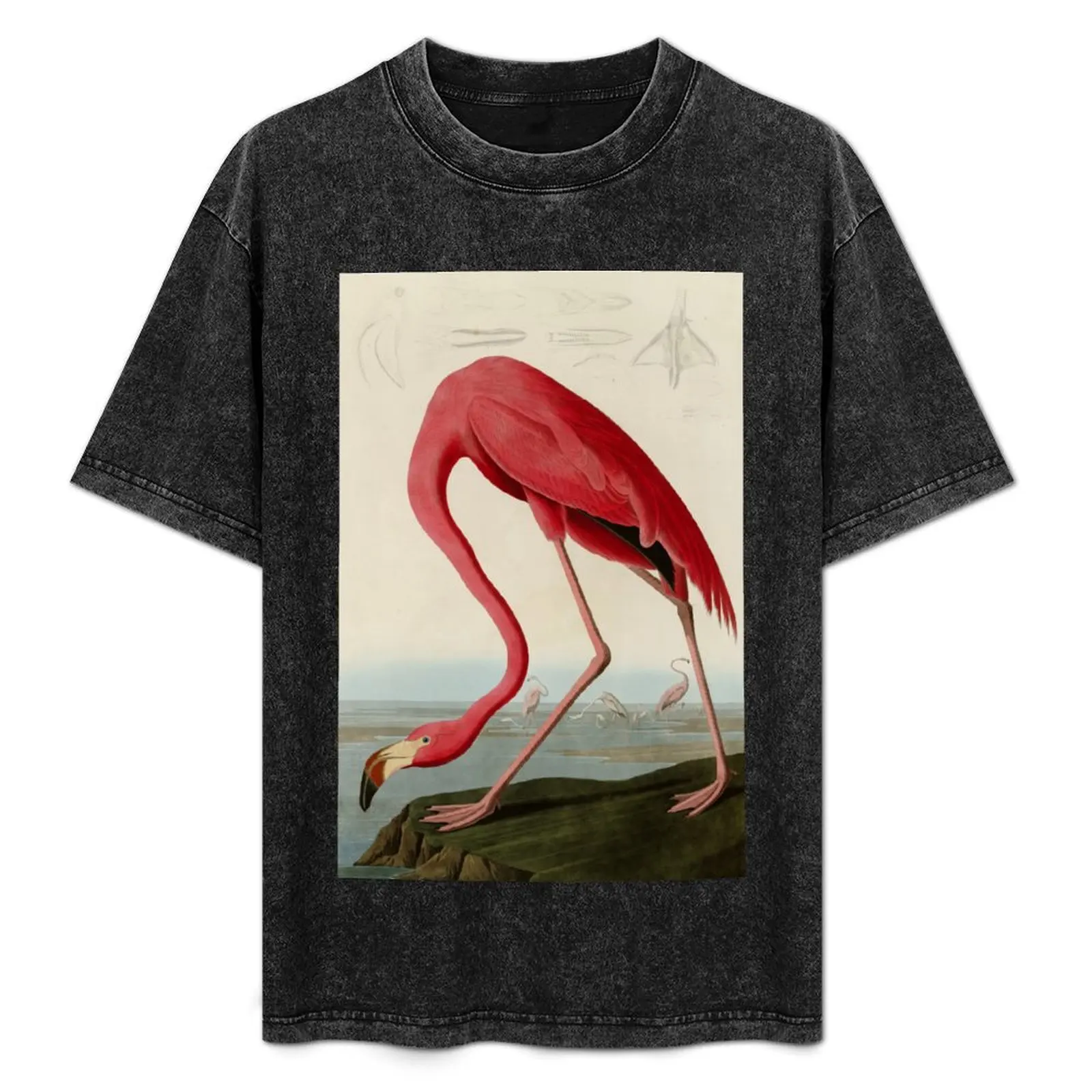 

American Flamingo by John James Audubon, Vintage Illustration T-Shirt anime clothes Short sleeve tee t shirt men