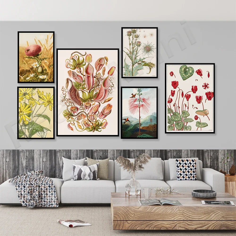 Plant posters, pitcher plants, cyclamen, mushrooms, tropical fruits, Citrus, Magnolia floral print plants, plant wall art poster
