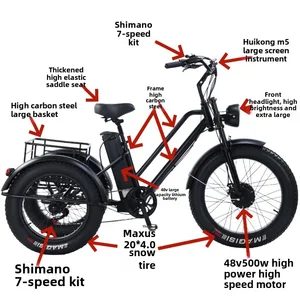 Elektrisches Dreirad 500W Motor 48V20AH Lithium-Lithium-Batterie*4.0 Fettreifen Schnee E-Bike-Speicherschläger 10 Hauptverkaufsmotor Moto -Dreirad - №9