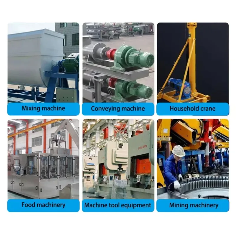 رائجة البيع BWD1 علبة التروس الدائرية الأفقي والعمود المزدوج والعمود المفصل المباشر من سلسلة Xwd Bwd #6