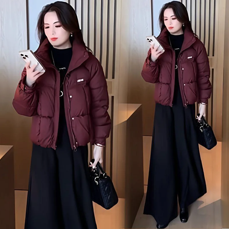 

New Winter Jacket Women Parkas Thick Warm Cotton Padded Short Jacket Female Outerwear Loose Long Sleeve Waterproof Overcoat