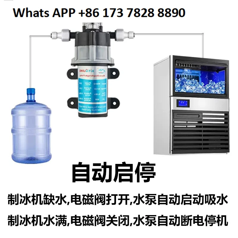 Pompa dell'acqua per macchina per il ghiaccio, autoadescante, avviamento e arresto automatico, pompa elettrica a membrana dell'acqua potabile