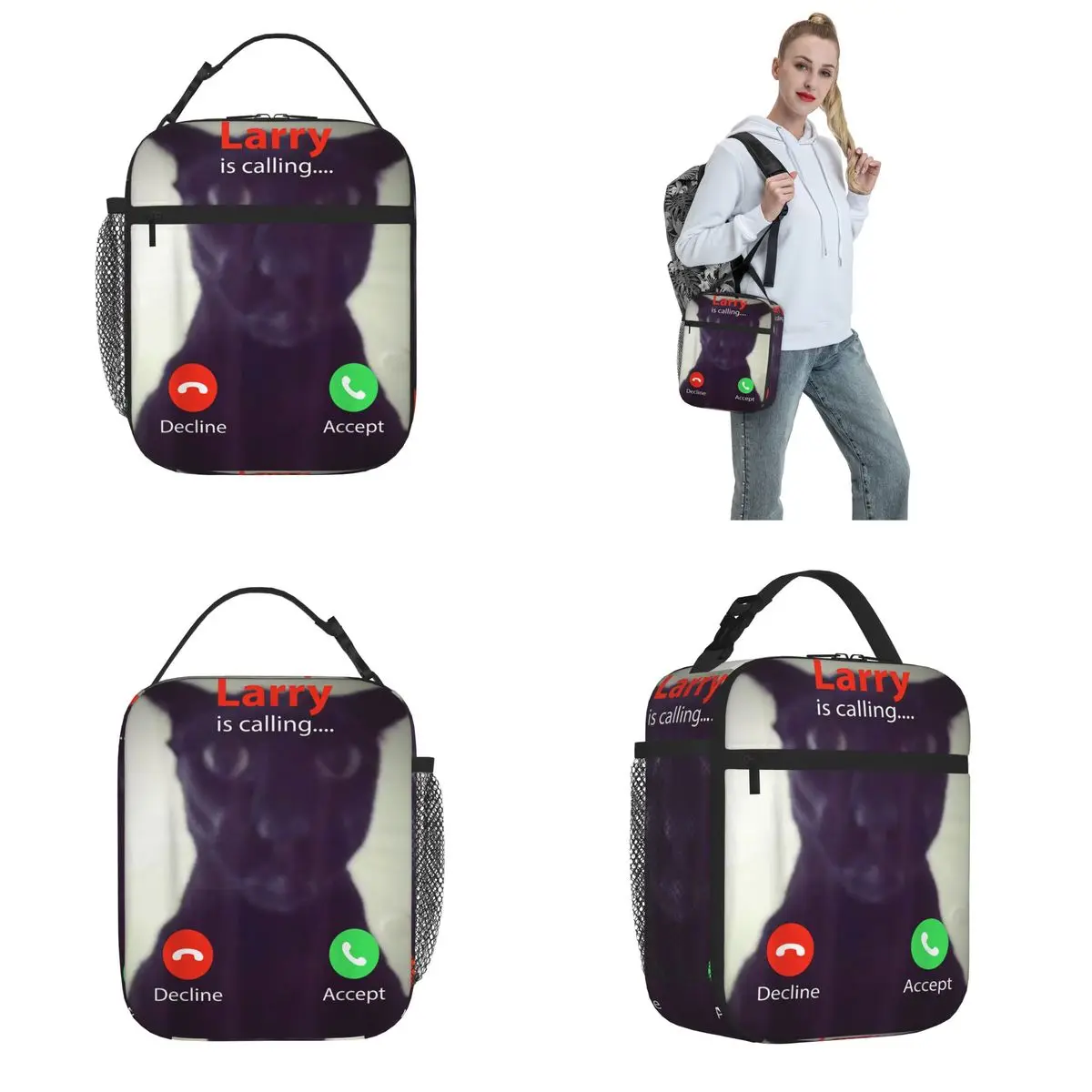 صناديق الغداء المعزولة مضحك الشر لاري القط دانك Brainrot ميمي حاوية الغداء موضة الحرارية برودة علب الاغذية للمدرسة