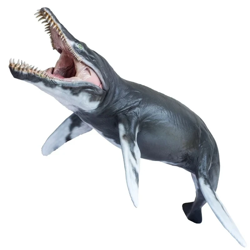 

Crolon Jeff Ocean Museum 1: 35 Science And Art Children Grow Up With Model Desktop Ornaments Holiday Gifts Christmas Halloween