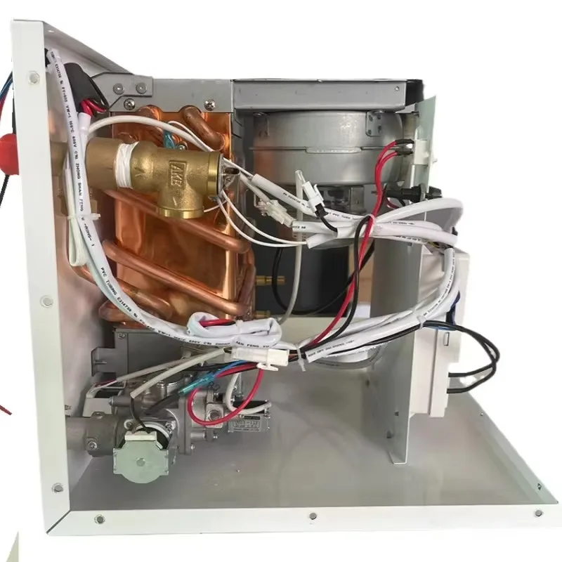 سخان مياه غاز البترول المسال المتقدم 10 لتر 12 فولت، بدء تشغيل ضغط المياه المنخفضة مع التحكم المخصص في درجة الحرارة لـ RV الممتاز وغير الشبكة #2