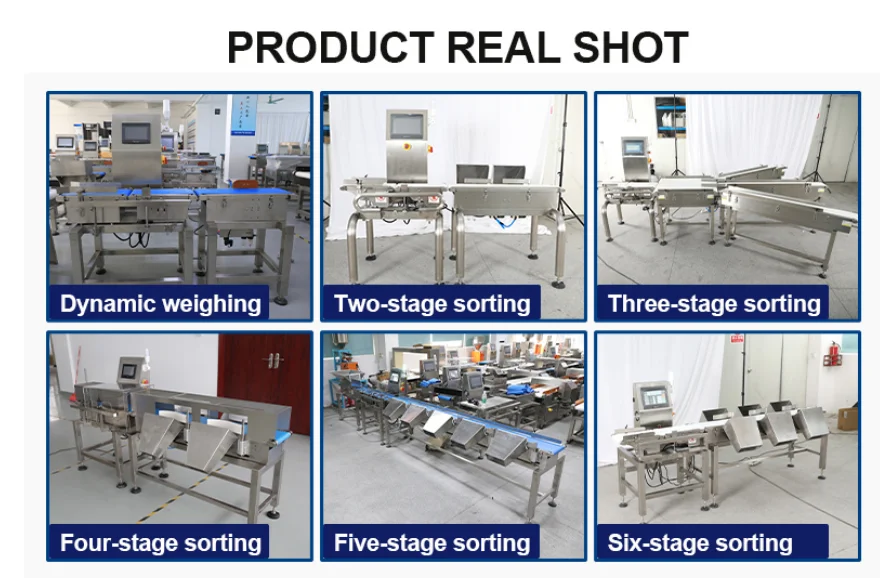 Karton Glas Fles Transportband Doos Checkweigher Automatische Online Check Weger Machine Met Rejector
