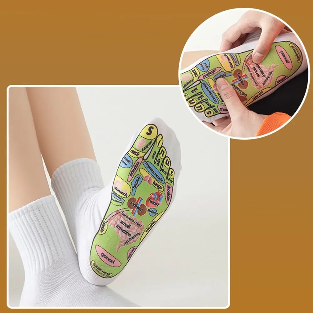 with Massage Tool Acupressure Reflexology Socks Pressure Socks Feet Massage Tool Foot Point Socks Acupoint Schematic Socks