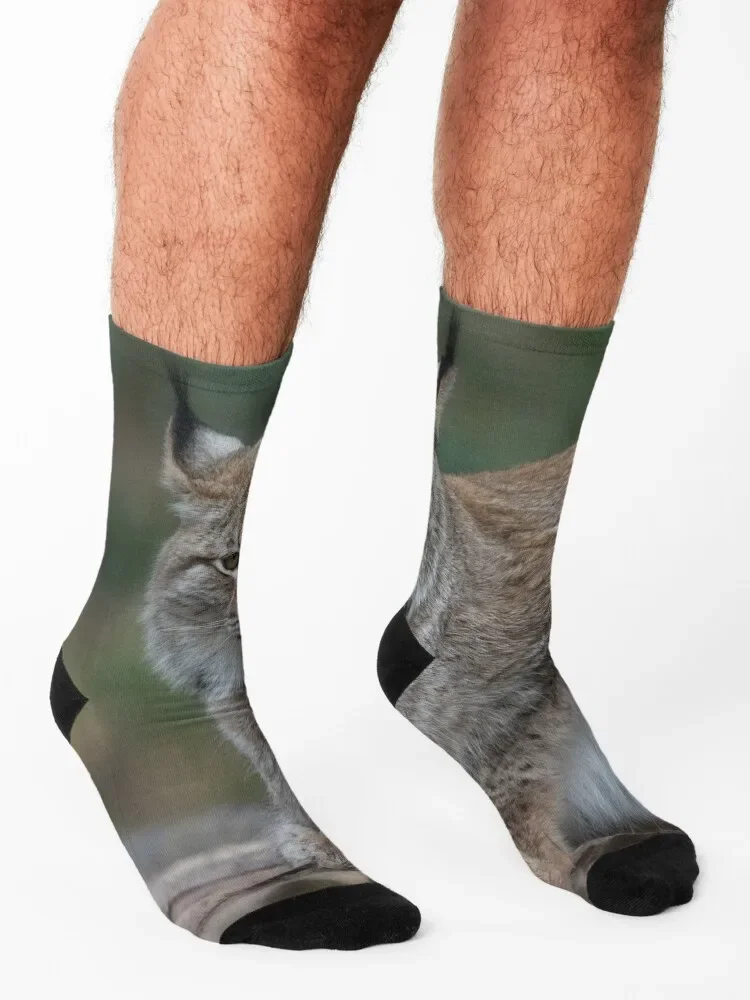 Lynx Looking At You Socks new in's designer brand Boy Socks Women's