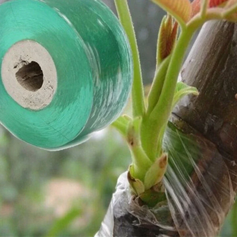 Cinta de injerto de película elástica, accesorio de jardín, cinturón de protección de plantas, herramienta de jardinería autopropulsada y accesorios, 1 rollo