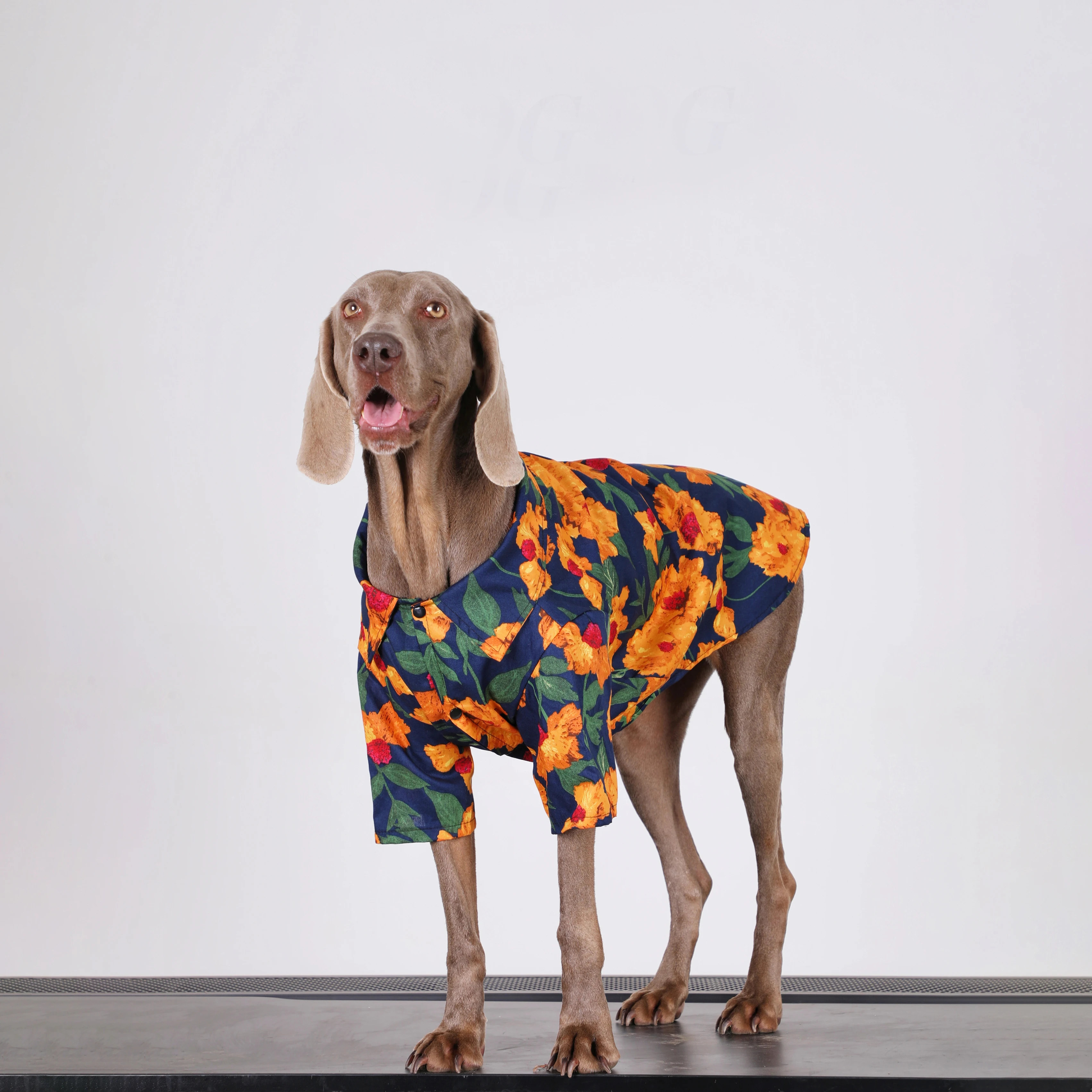 

Fashion Large Dog T-shirt with Flower Printing Two-legged Dog Clothes Spring Summer Golden Retriever Labrador Outfit Clothes