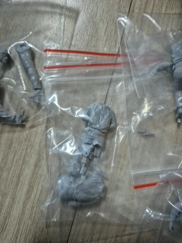 Buyer photo of this resin kit