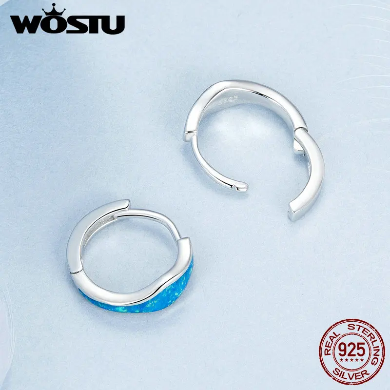 WOSTU 925 Sterling Silver Heart Opal Earrings Women Blue Opals Simple Geometric Ear Buckles Wedding Party Jewelry Gift For mom