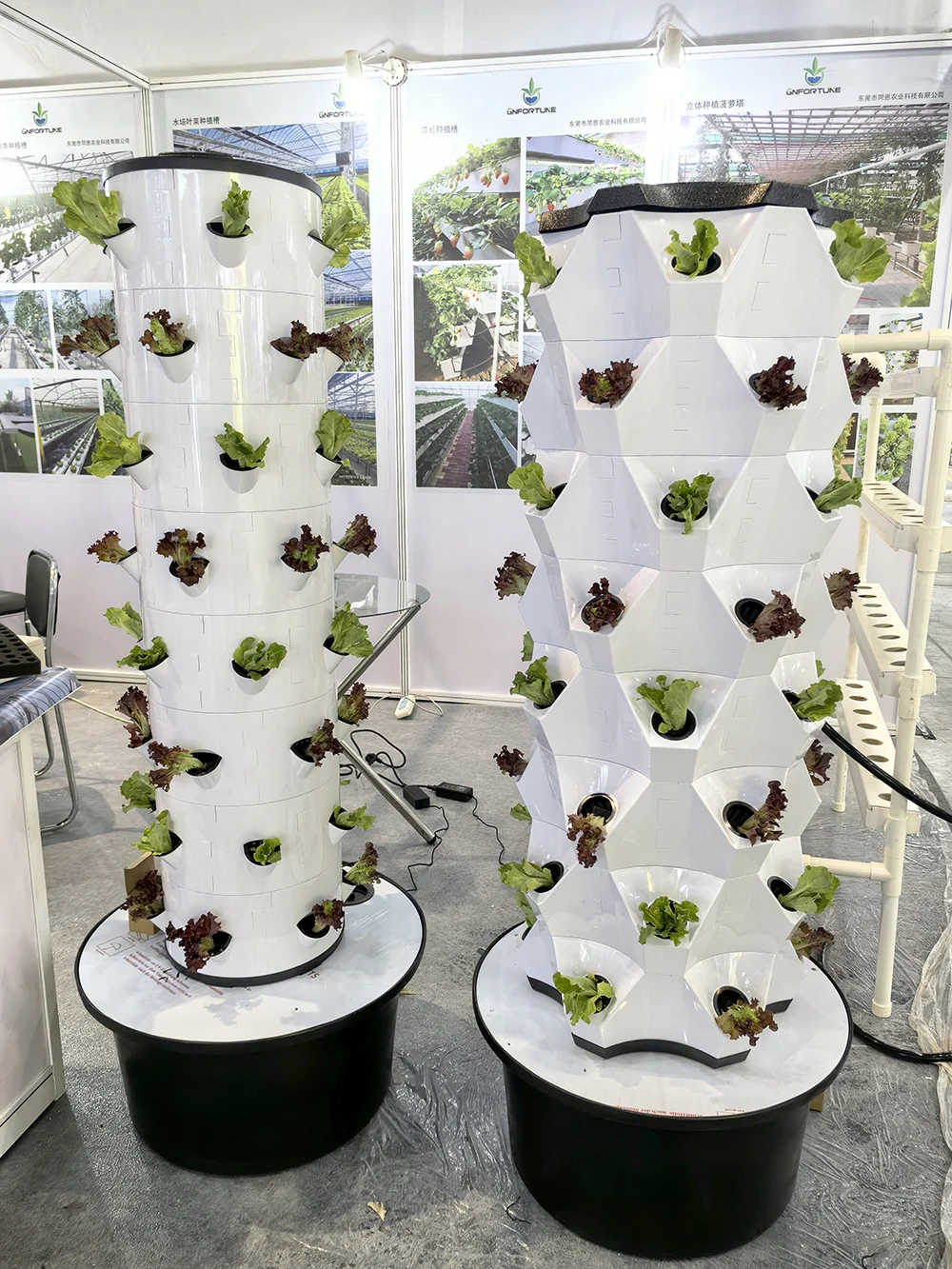 Greenhouse Vertical Farming Hy - Hydroponic System ulasan dan harga