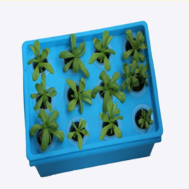 Hydroponics Grow Kit Box For Indoor Vegetable Grwoing