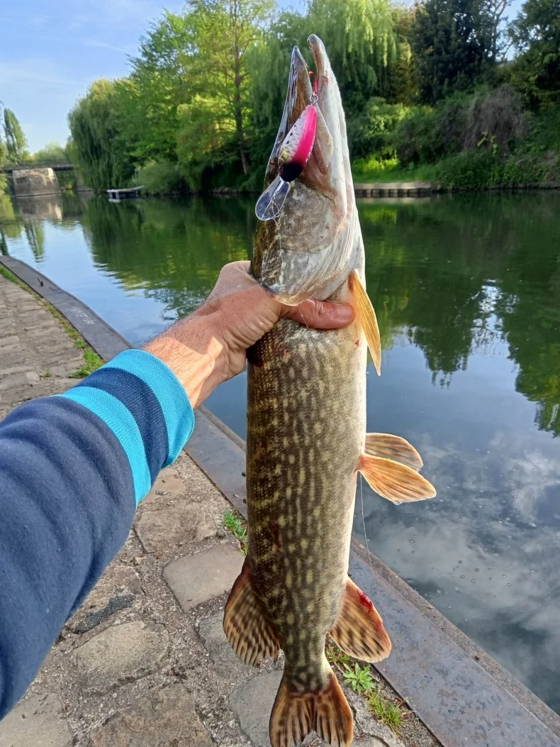 Kingdom Floating Crankbaits Minnow 6 g 6,5 g 10,5 g Geräusch künstliche harte Köder 3 Arten Lippenbarsch Hecht Forelle Süßwasser-Angelköder – Detail 2