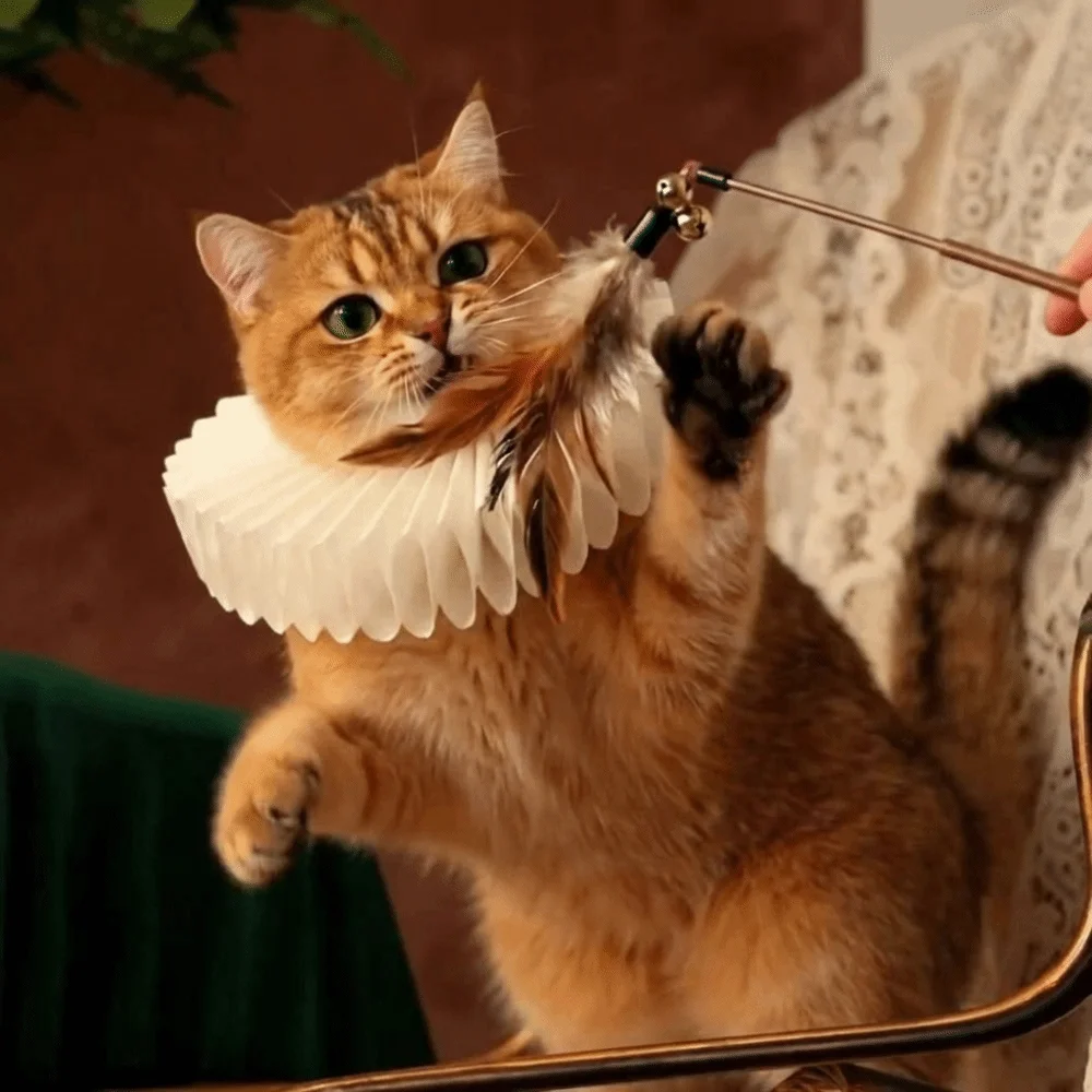 

Renaissance Detachable Neck Ruffled Pet Collar Elegan Chic Cat Collar Vintage Dog Ruff Collar Pet Accessory