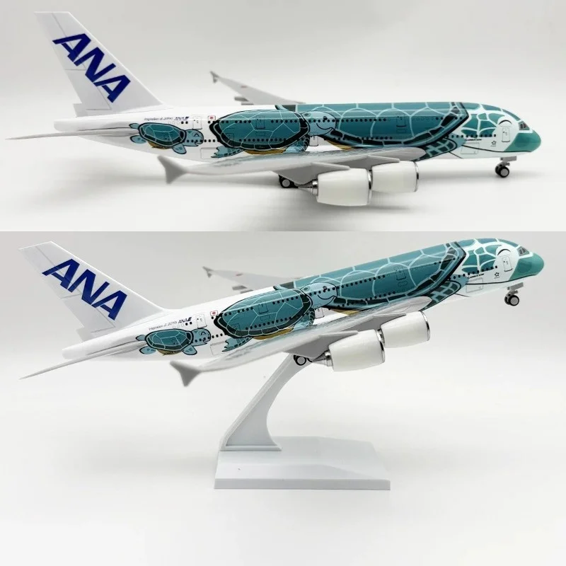 Green Sea Turtle Plane Model 30cm Aircraft A380 Air Japan ANA Airways With Base Diecast Resin Airplane Collection Display