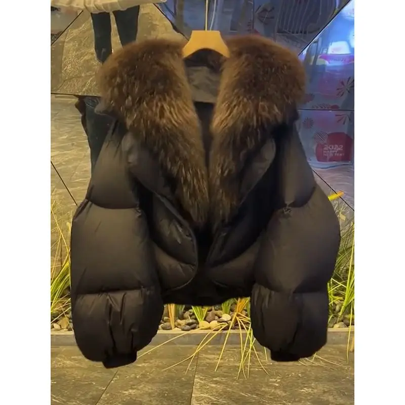 Winter Korean-style Versatile Wool-collared Cotton-padded Jacket Women New Short Cotton-padded Parkas Cold-proof Bread Coat
