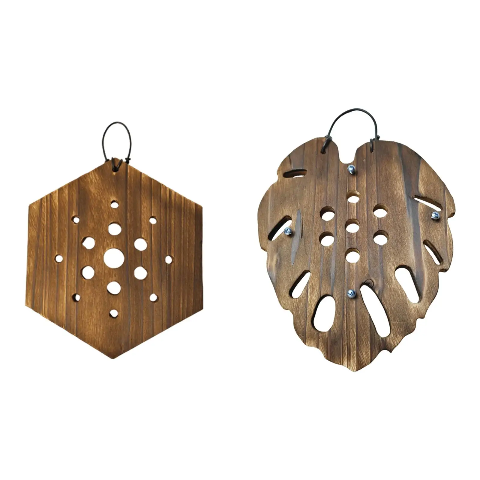 Fern Mounting Board Wall Planter Accessory Rustic Look Space Saving Hanging Planter Multipurpose for Orchids Easily Install