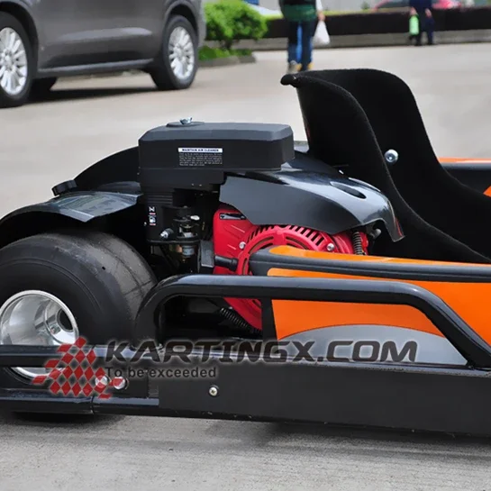 

Новый стиль 300cc гоночных картингов/картинговых машин/гоночных костюмов для картинга