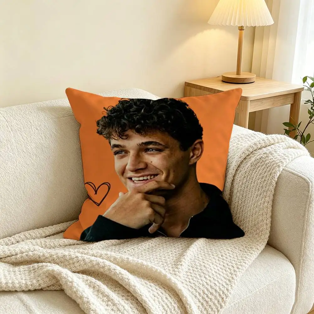 R-Racing Driver Lando Norris 4  Square Double-Sided printed Pillow Case Bedroom Bedside Pillow Sofa Cushion Cover