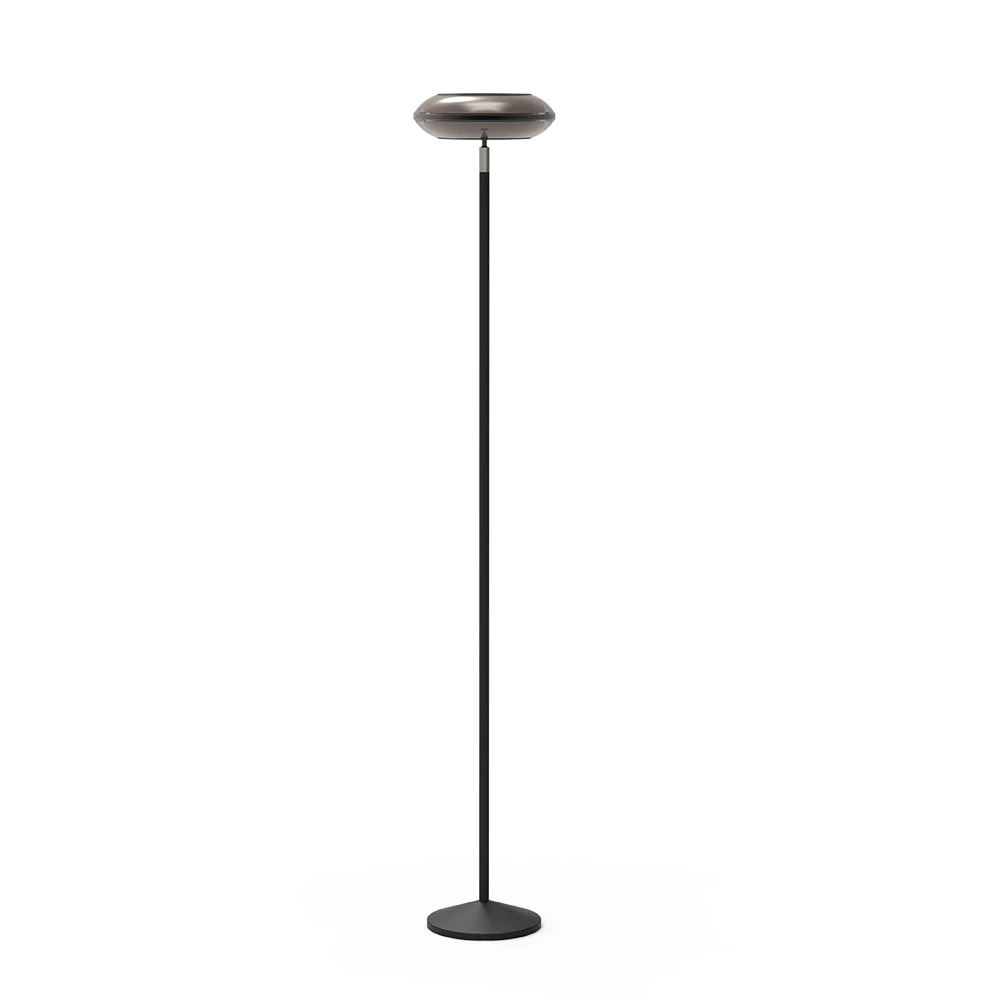 with WiFi + application control function, compatible with doodle intelligence and voice assistant, intelligent floor lamp