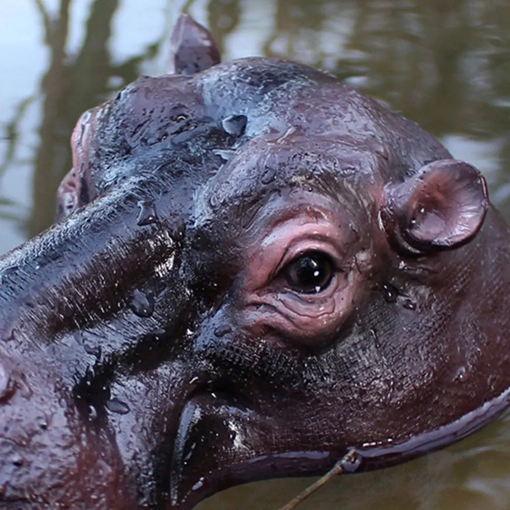

Забавные плавающие украшения для бегемота, изделия из смолы, реалистичный пруд, плавающая голова бегемота, плавающая голова бегемота, садовый декор