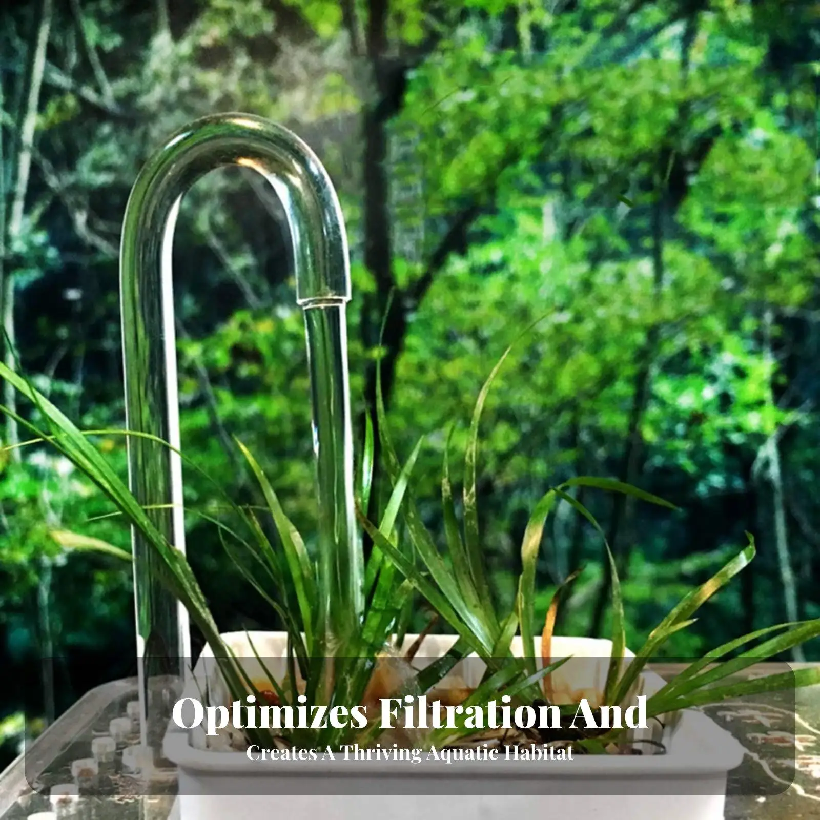 U-Shaped Acrylic Tube Multi-Purpose Acrylic U-Shape Tube Easy to Use