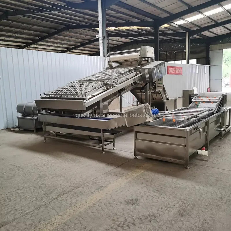 Automatic Process Sheller Electric Dehead Devein and Shell Prawn Peeler Clean Shrimp Peel Machine for Sale