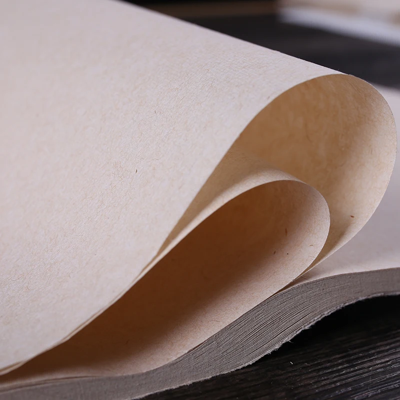 Manual Xuan Paper Half-Ripe Rice Paper Chinese Calligraphy Brush Pen Works Paper Flower Bird Landscape Freeehand Painting Papier