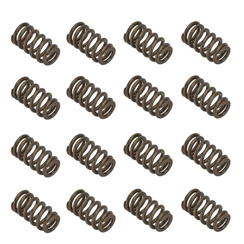 LS Valve Springs Pac1218-16 For GM LS1 LS2 LS3 LS6 4.8 5.3 6.0 6.2L - .600Inch LIFT-A54R