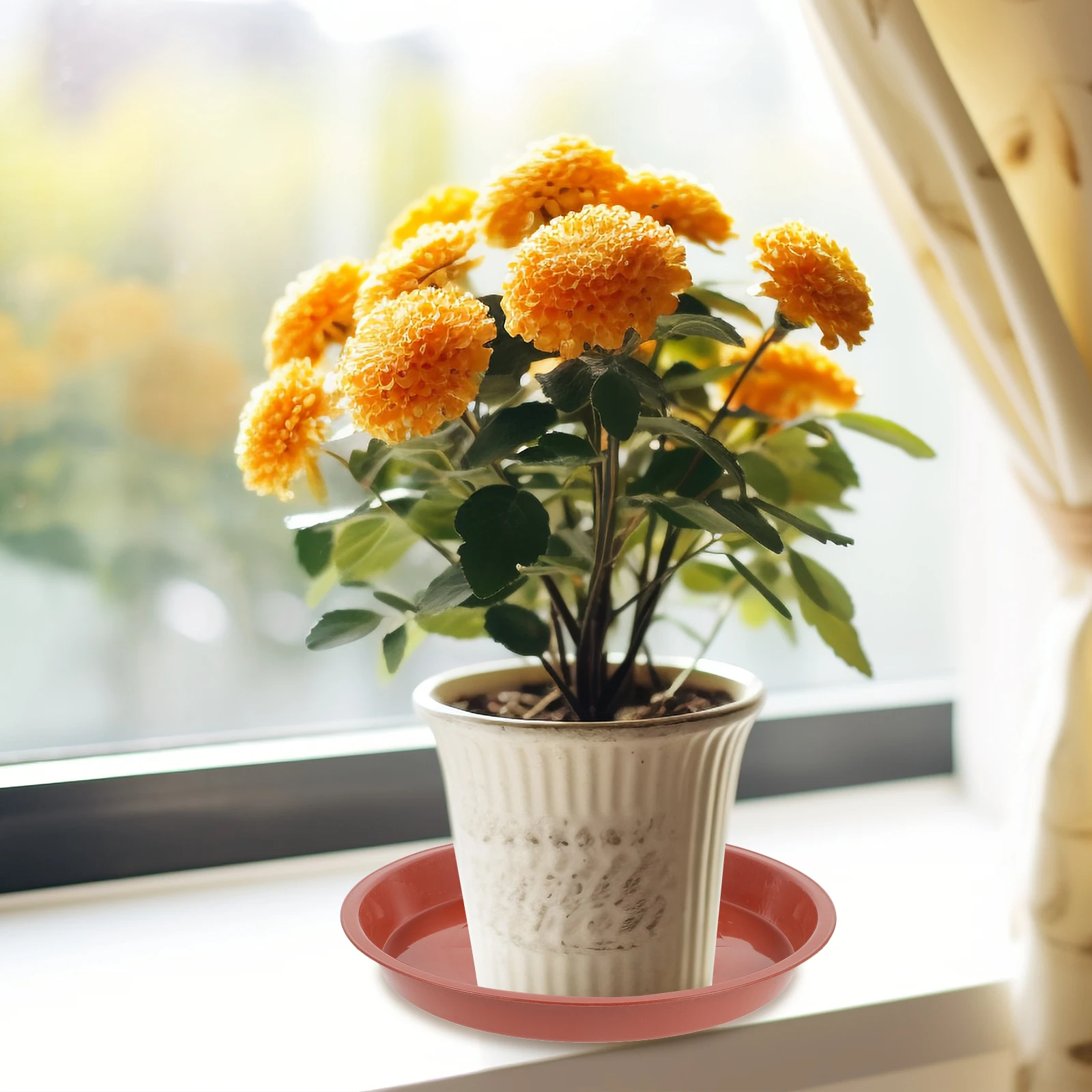 

5 Pcs Plastic Planter Tray Circular Flowerpot Garden Saucers Drip Trays for Potted Plants