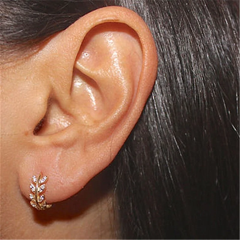 925 Sterling Silver Hot Selling Leaves Full Zircon Hoop Earrings Female Fashion Simple Gorgeous Jewelry Valentine Gift