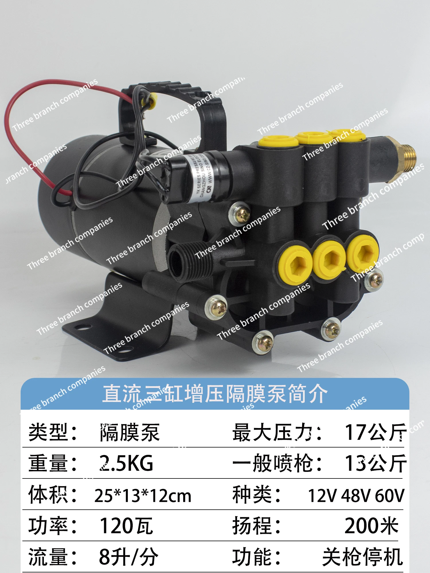 

12V DC Electric Pump for Pesticide Spray High Power High Pressure Pump Watering Vegetable Field Artifact Agricultural Sprayer