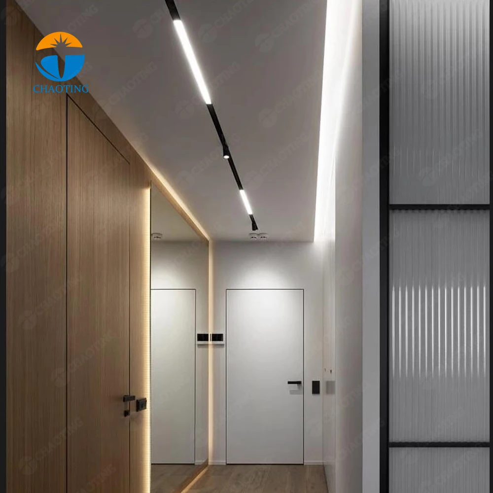 Europe Hot Sale Magnetic Track Light 48V Dimmable Indoor Restaurant Decoration Light Spotlight Rotatable Ball Shape