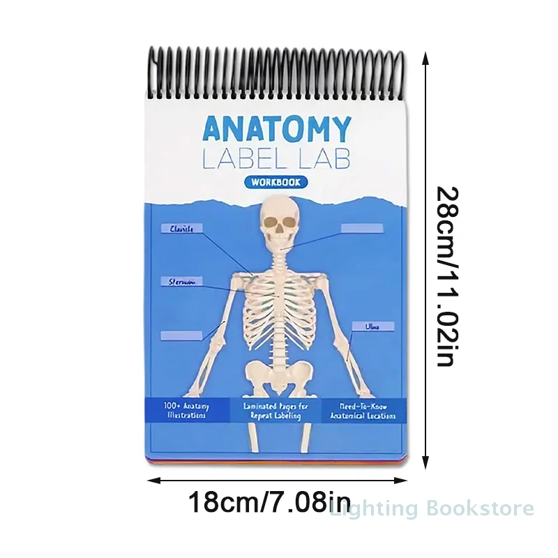 Anatomy Label Lab Workbook– 100+ Full-Color Dry-Erase Pages With Human Anatomy Illustrations, Anatomy Terms And Labels For Learn