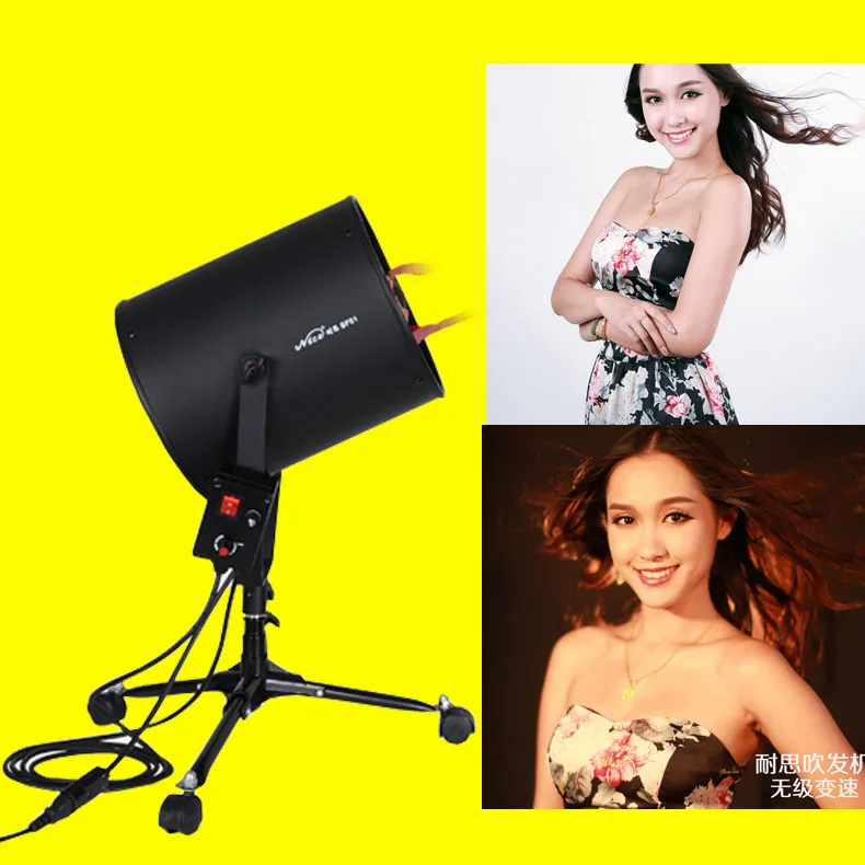 220v NICE Professional Photography dedicated hair Fan for studio flash SF-01 Free DHL