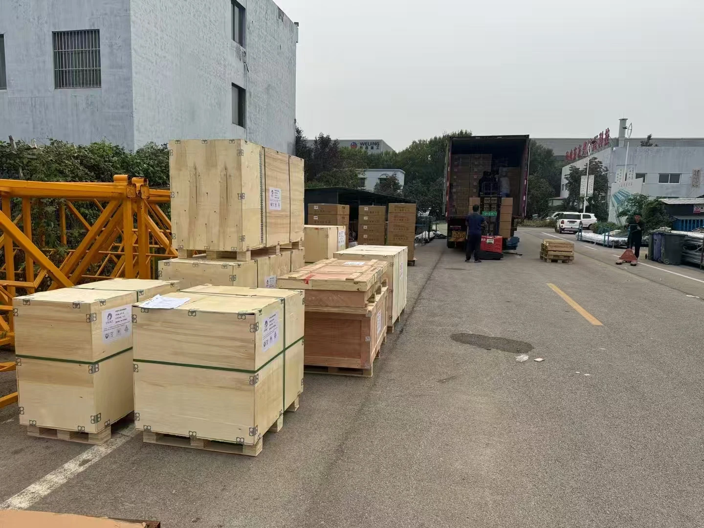 Macchina automatica per la toelettatura dei cani, prodotti spa e detergenti per animali domestici, sostenibili ed ecologici per il lavaggio e asciutto dei cani