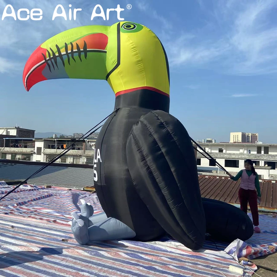 Inflatable Bird Toucan for Decoration Giant Animal Model for Tropical Themed Event