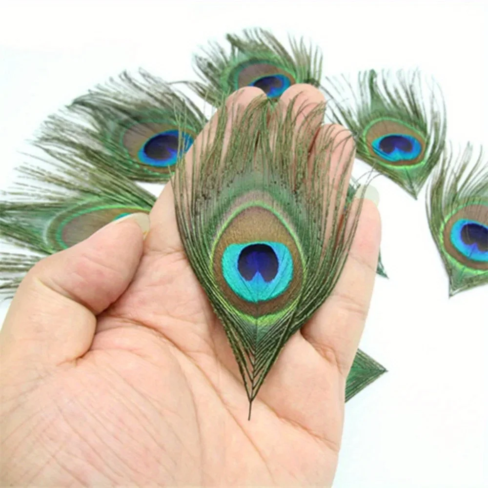 

10pcs Real Peacock Eye Feathers Natural Tail Feathers for DIY Projects Wedding Decorations and Eye Makeup Use