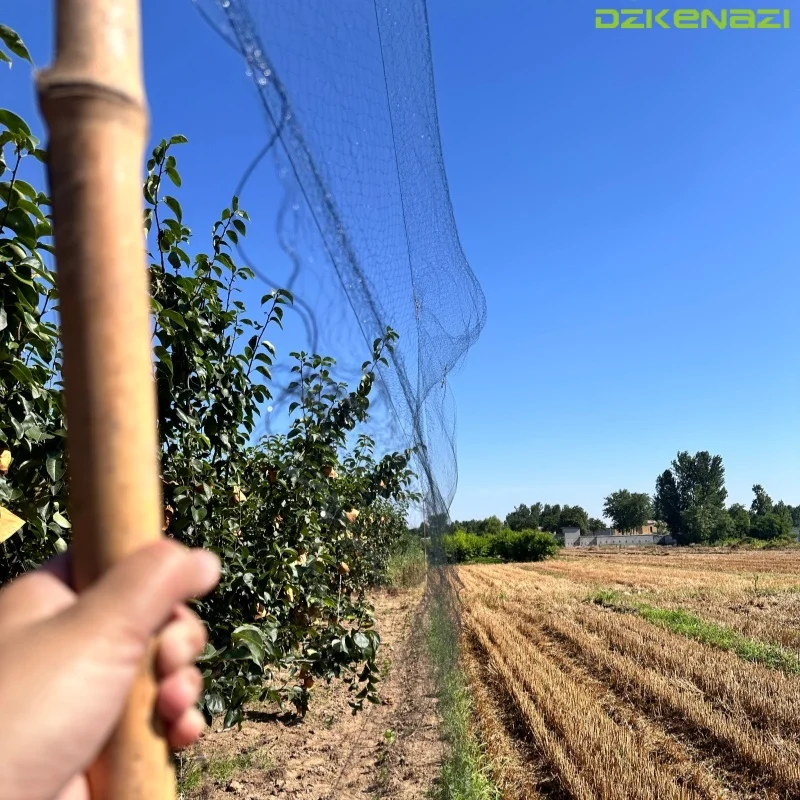 3 X 6/9/12/15 M Anti-Wind Bird Mist Net 15x15mm Hole 110D/2 Polyester Orchard Garden Net for Sparrow Bird Control in Agriculture