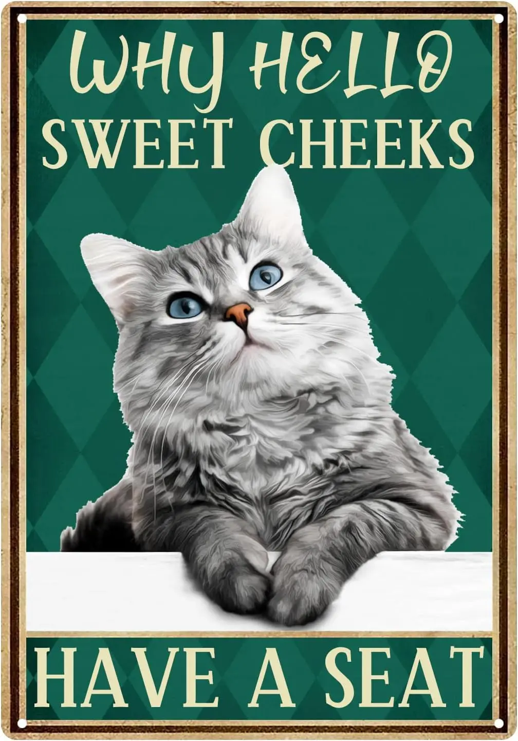 Why Hello Sweet Cheeks Have A Seat Tin Sign, Curious Cat Lover Funny Vintage Metal Tin Signs For Men Woman, Quotes Plaque Wall D