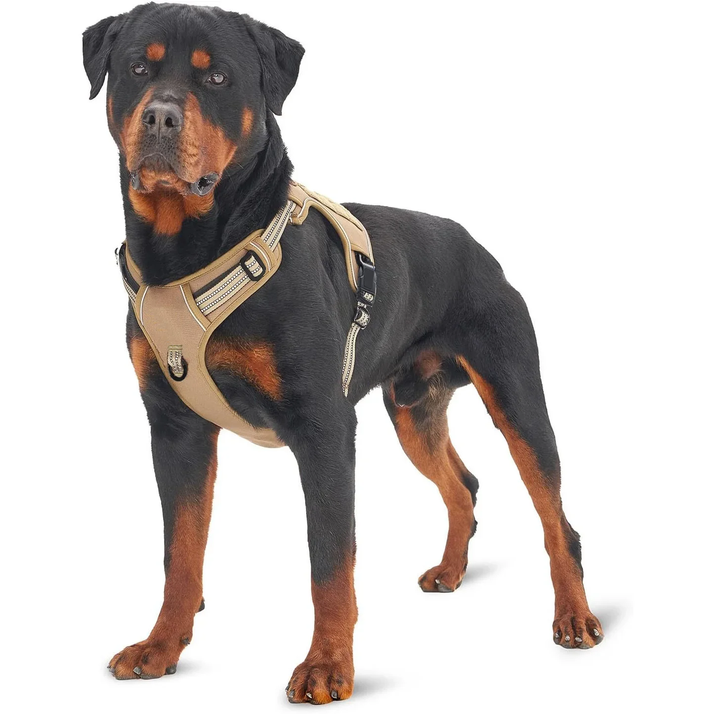 

Painless No Pull Large Dog Tactical Harness - Durable Military-Style Vest with Reflective Straps & Secure Control Handle Pet tag