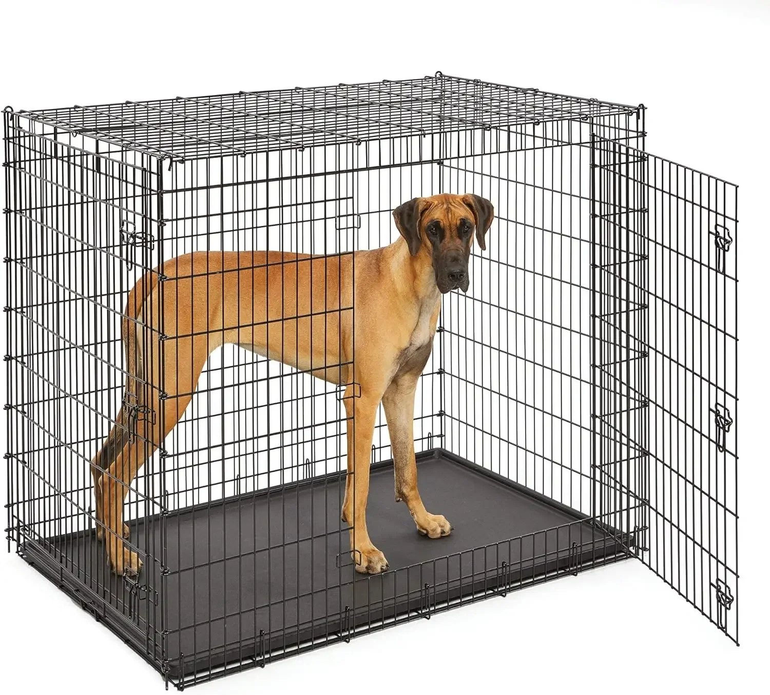 Midwest Homes for Pets SL54DD Ginormus Double Door Dog Crate for XXL  dog cage  dog gate