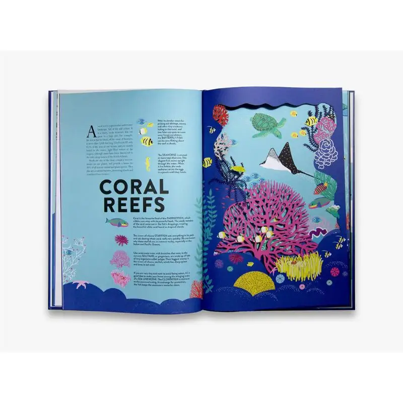 Ocean Hlne Druvert Thames And Hudson Ltd 9780500651773 Book
