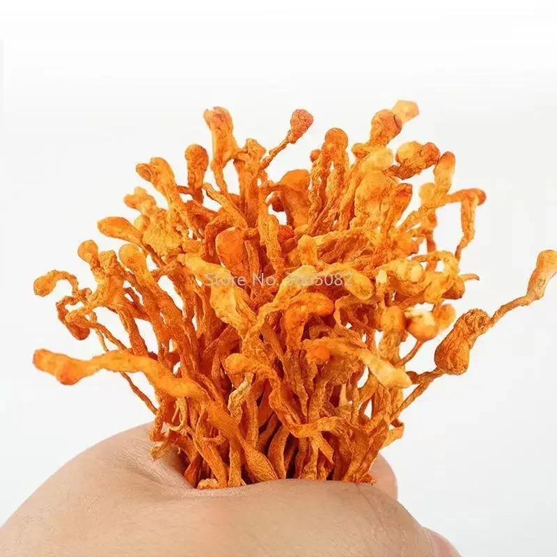 Cordyceps Flor Sinensis Flor Chong Cao Hua 250g