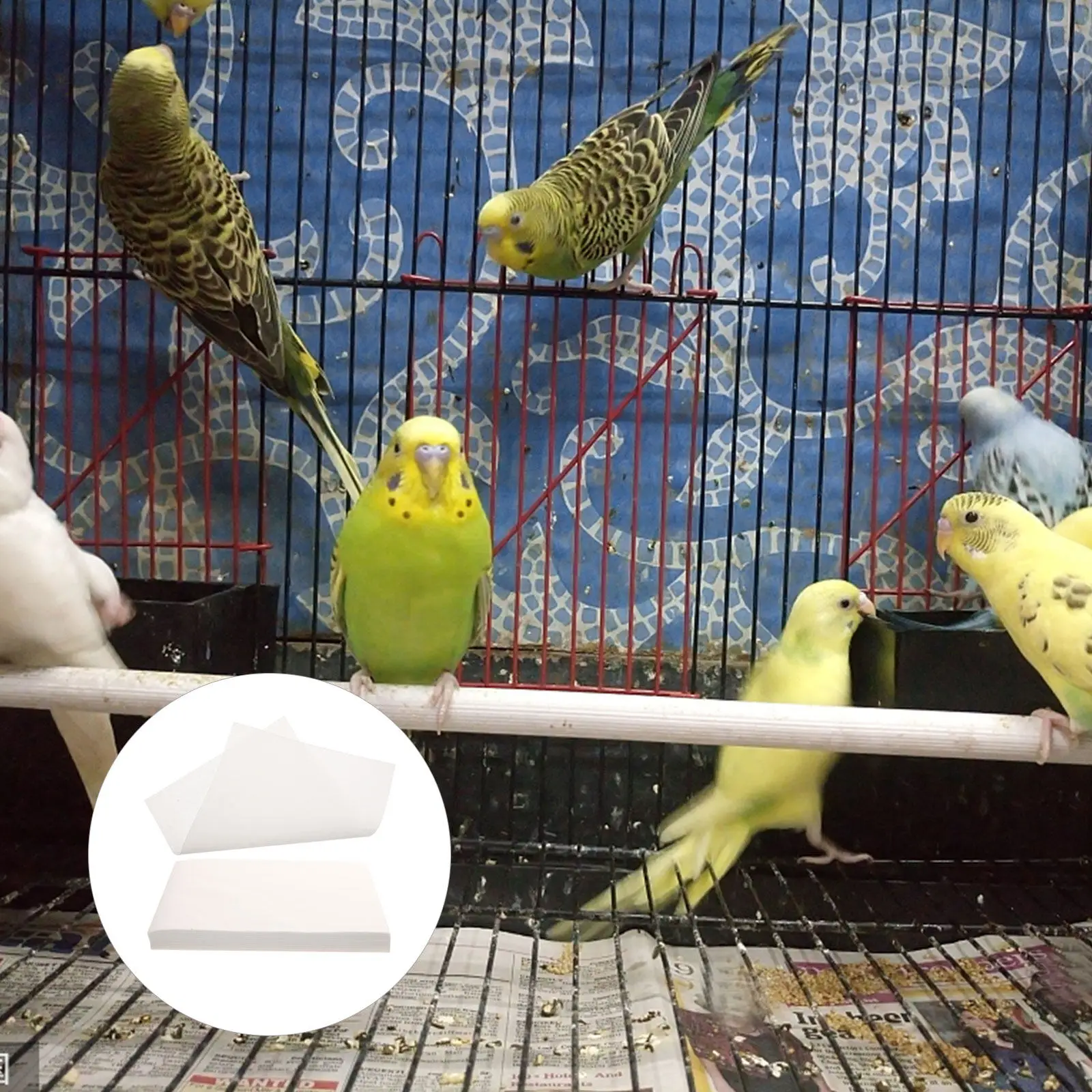 

100Pcs Convenient Bird Cage Liner Extra-Thick Disposable Absorbent Pad for Parrot Cage Fresh Clean Dry Surface Healthy Hygiene